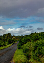 road in the countryside