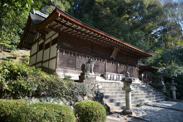 Fototapeta premium 宇治上神社 本殿 京都府宇治市宇治山田