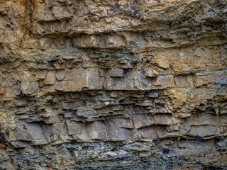 Gesteinsschichten im Muschelkalk