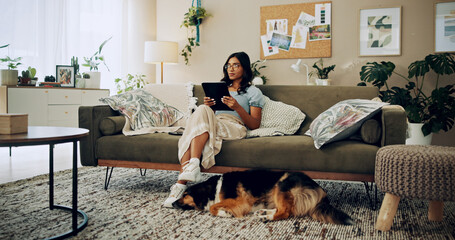 Woman, living room and dog with tablet, reading and online in bonding for love, companion and...