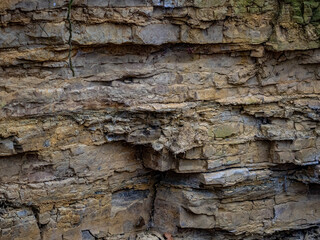 Gesteinsschichten im Muschelkalk