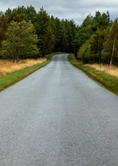road in the countryside