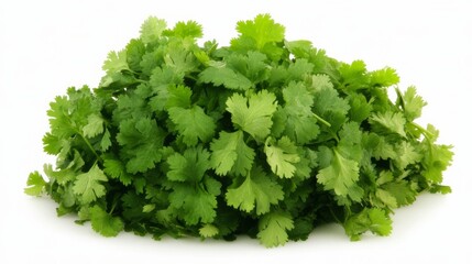 Obraz premium A vibrant bunch of cilantro on a white background.