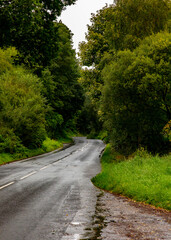Fototapeta premium winding road in the forest