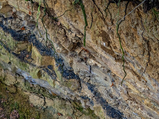 Gesteinsschichten im Muschelkalk