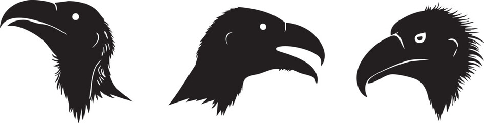 Bird of Prey Vector: Vulture Art
