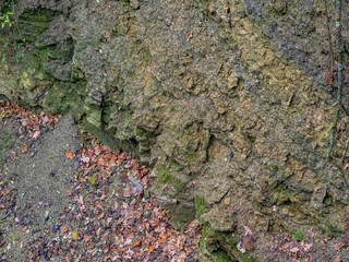 Gesteinsschichten im Muschelkalk