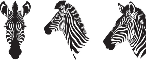 Zebra Profile Vector Art for Wildlife Illustrations  © MehmetKemal