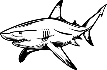 Obraz premium Illustration of a Shark