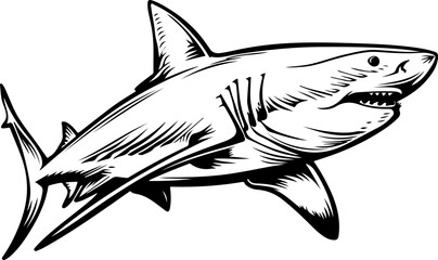 Obraz premium Illustration of a Shark
