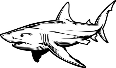 Obraz premium Illustration of a Shark
