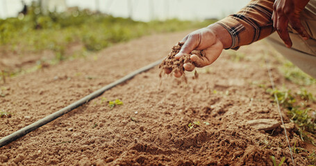 Growth, planting and hand with soil, sustainability and gardener in environment, agriculture and...