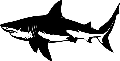 Fototapeta premium Stylized Black and White Shark Illustration