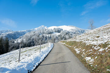 Countryside road leading to the snow covered mountains of the swiss alps