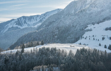 Snowy mountain peaks overlooking a swiss chalet in a snow valley surrounded by big pine trees in a forest