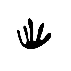 black coral icon
