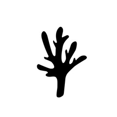 black coral icon