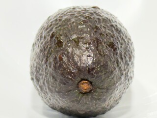 avocado isolated on white center 