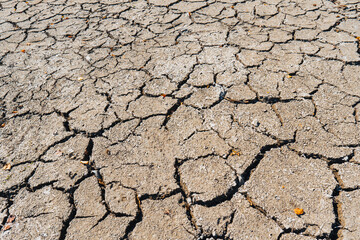 Cracked clay bottom of a dried-up lake (close-up). Concept of the problem of climate change, drought and drying up of water bodies