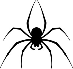 Obraz premium Silhouette of a Spider