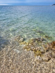 coral reef and blue sea