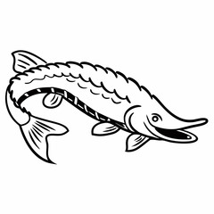 Happy stuergon fish  ,White Background