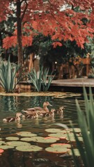A mother duck and her ducklings are swimming in a pond. The mother duck is leading the way, while the ducklings follow closely behind her. The scene is peaceful and serene