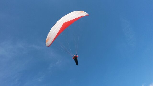 Paragliding pilot soaring through the sky with a vibrant blue and red wing, suspended in flight, symbolizing freedom, adventure, and extreme aerial sport.