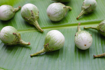 Thai green eggplant, fresh organic vegetables