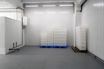 Food industry. Empty storage room for finished products in a modern food factory. Food production...