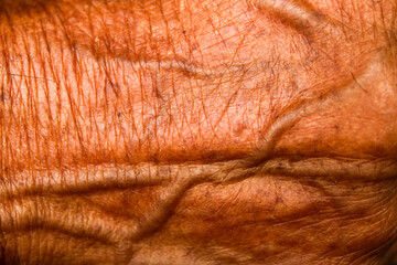 Asian men's feet skin texture is brown with visible veins