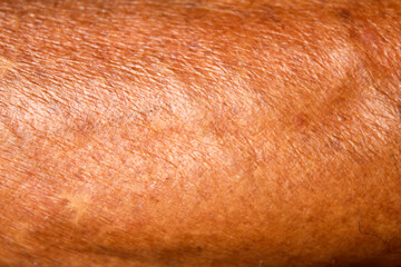 Fototapeta premium Brown skin texture of old Asian men's feet