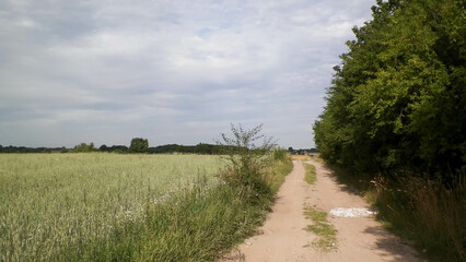 Road over fields in Kashubia. Poland