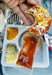 hand holding a plate with food