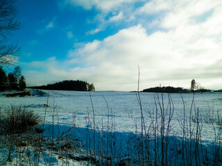 Winter. Snow on meadows of Kashubian region of northern Poland.