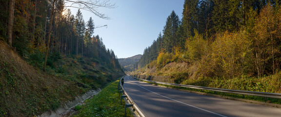 Road between forested hills from Skhidnytsia towards Tustan, Ukraine.