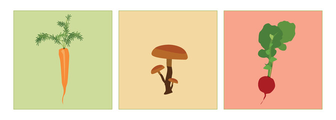 set of vegetables, illustration