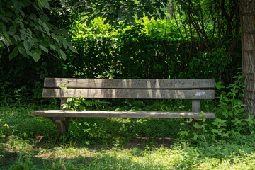 Empty antique bench in shaded garden or park