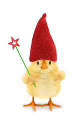 Cute cool chick good fairy tale with tall hat and magic wand funny conceptual image 