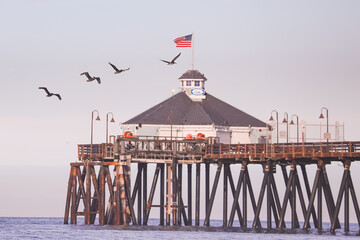 Birds flying over Imperial Beach Pier 2025