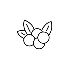 berry icon Flat symbol set outline