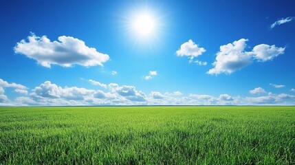 Obraz premium Bright Blue Sky with Clouds Over a Lush Green Field