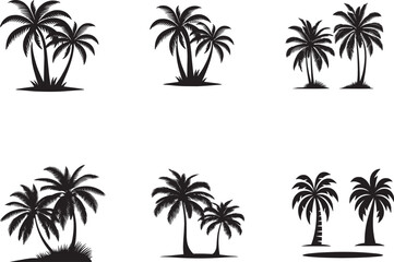 Coconut Tree Silhouette