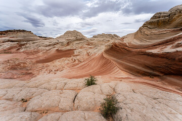 Swirling sandstone formations at White Pocket, Arizona