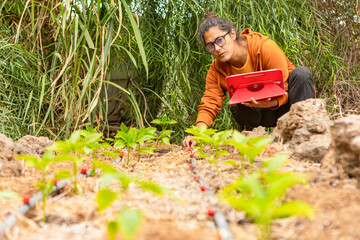 Woman Monitoring Plant Growth with Tablet in Irrigated Garden