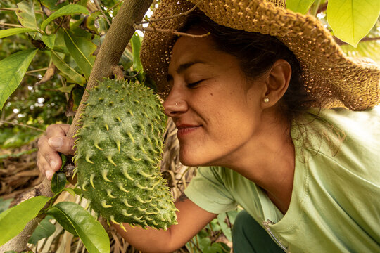 Woman Enjoying the Scent of a Fresh Soursop Fruit on a Tree