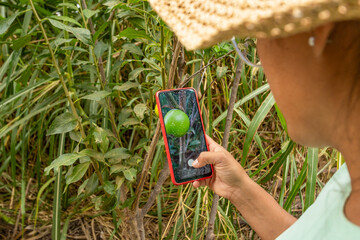 Smartphone use in a vegetable garden