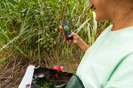 Technology in the Vegetable Garden, Merging Tradition and Innovation