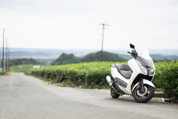 バイクツーリング中に茶畑で休憩