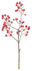 red berry branches cut out isolated transparent background